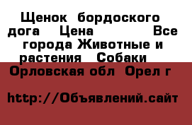 Щенок  бордоского  дога. › Цена ­ 60 000 - Все города Животные и растения » Собаки   . Орловская обл.,Орел г.